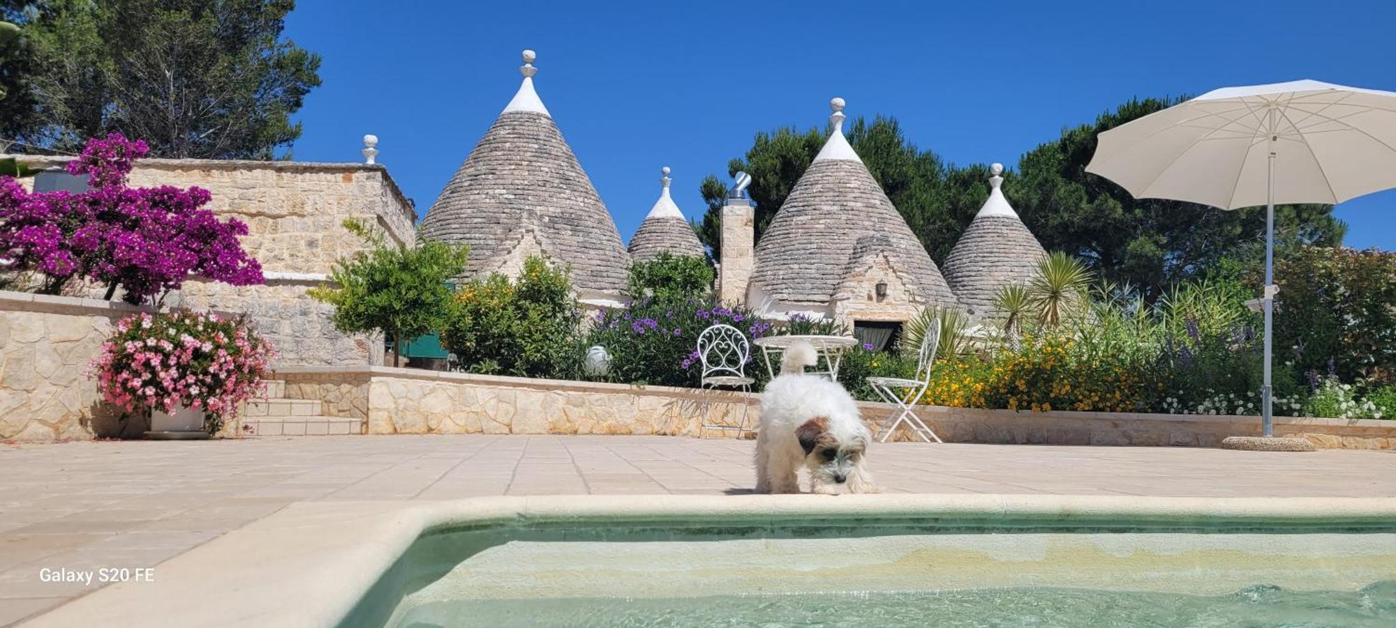 Trullo Bosco Libero Ostuni Villa ภายนอก รูปภาพ