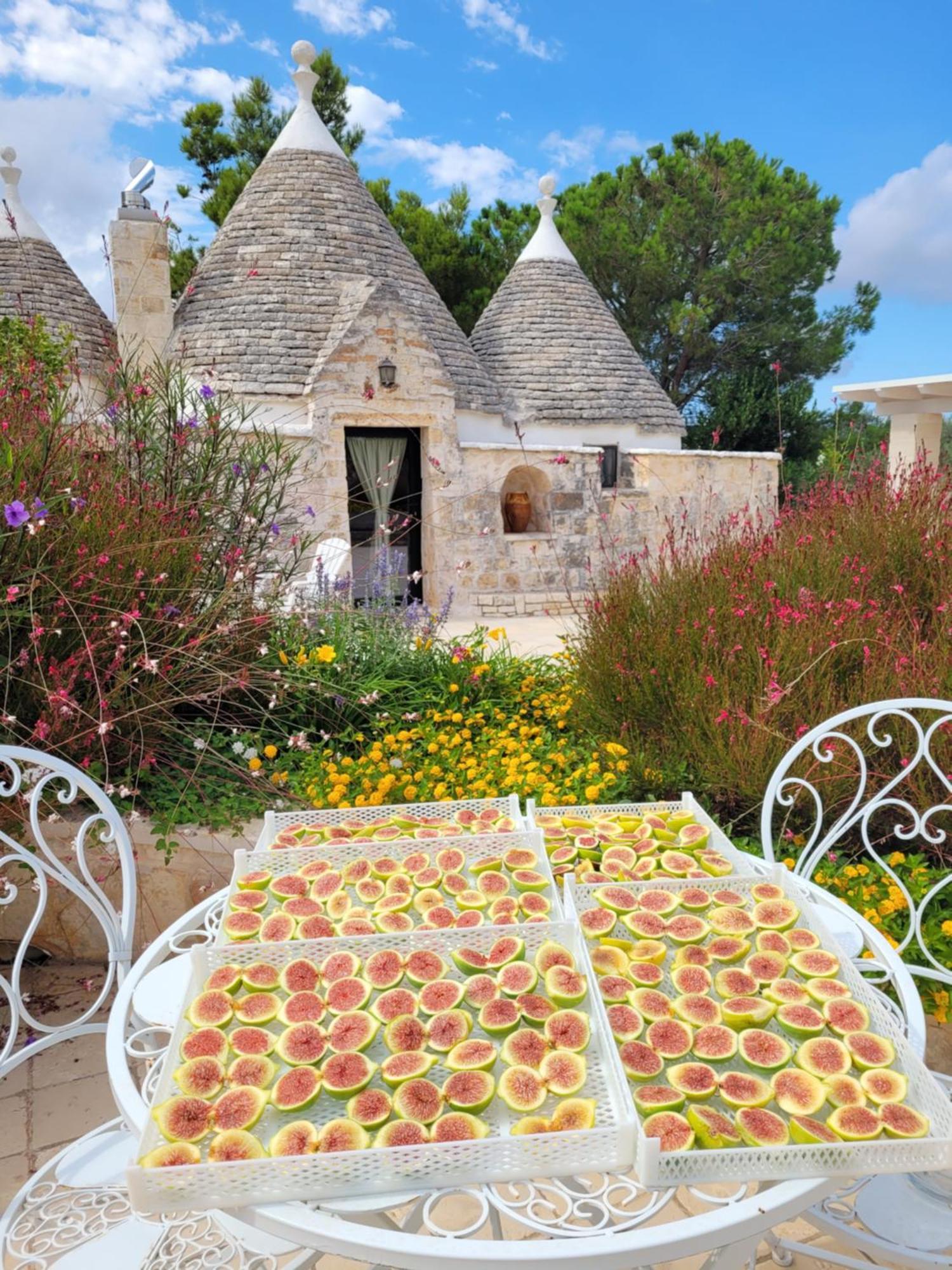 Trullo Bosco Libero Ostuni Villa ภายนอก รูปภาพ