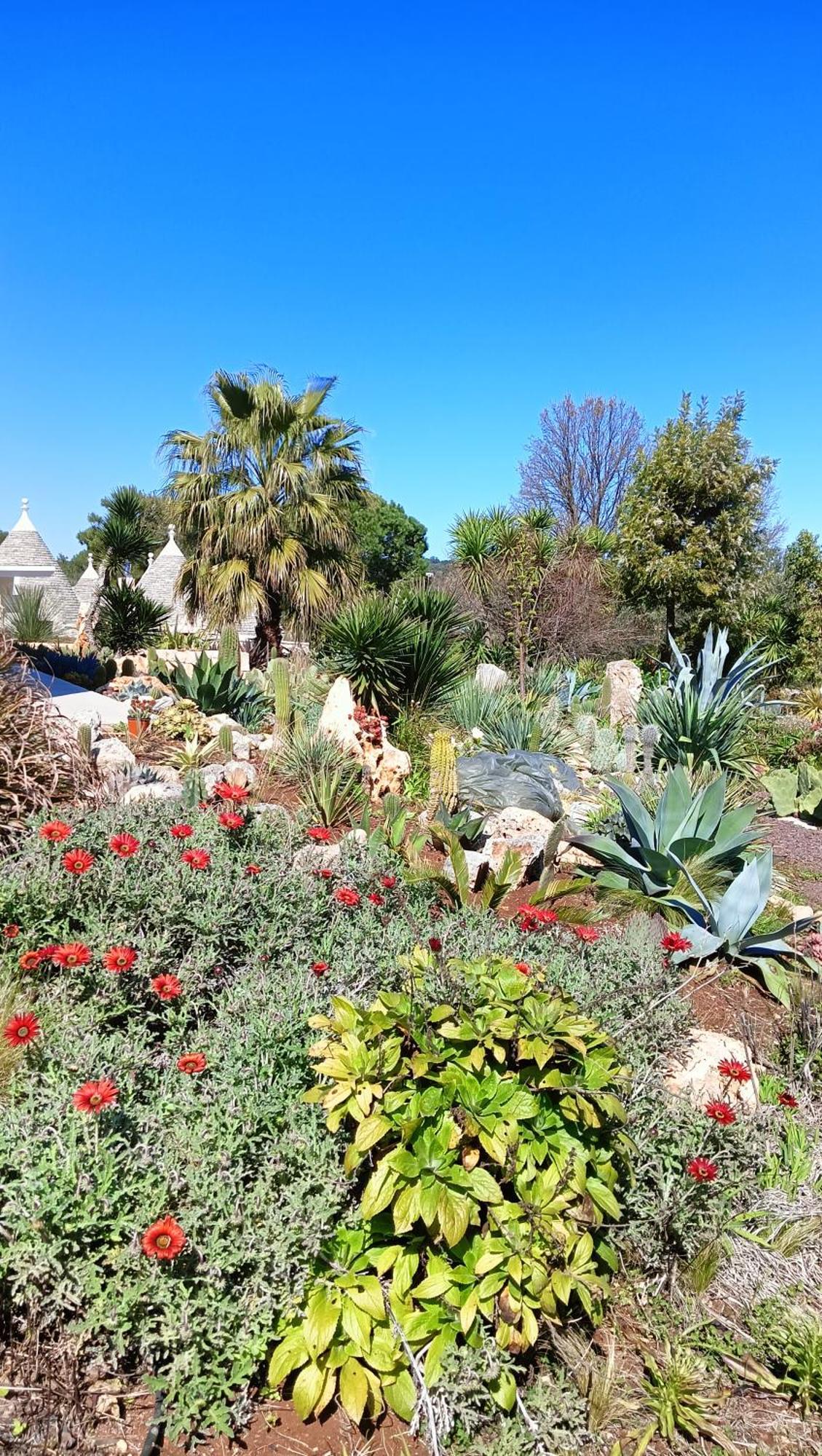 Trullo Bosco Libero Ostuni Villa ภายนอก รูปภาพ